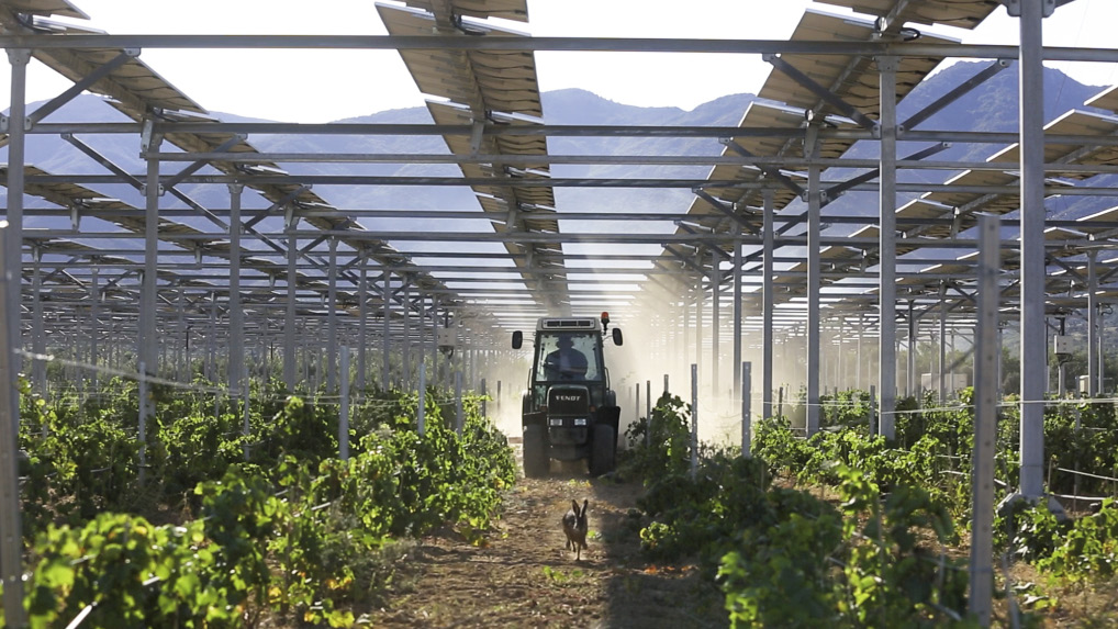 Agri-Photovoltaik-Anlage