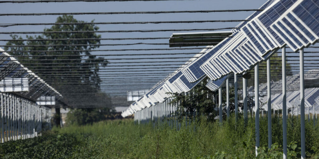 Agri-Photovoltaik-Anlage in Italen