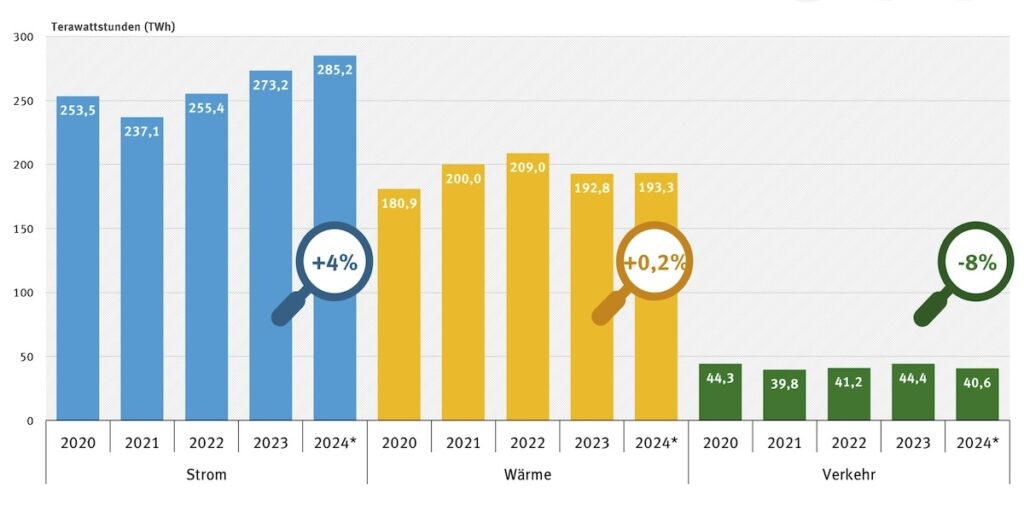 AGEE-Stat, Monatsbericht 12-2024