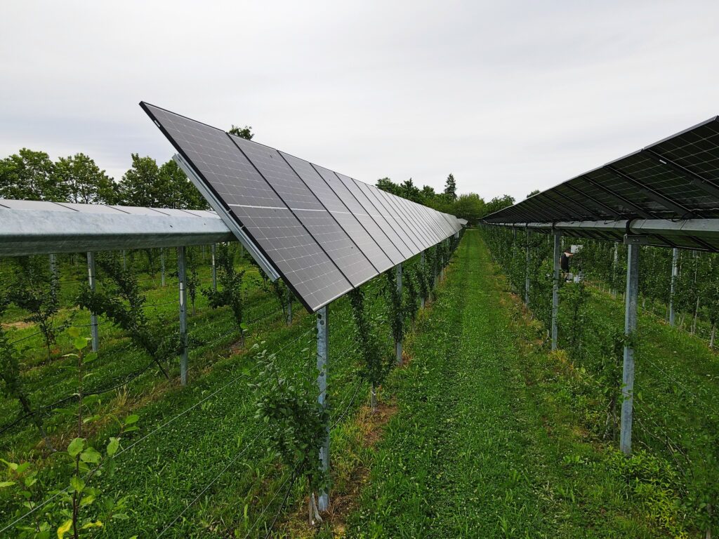 Agri-Photovoltaik, Fraunhofer ISE, Apfelbäume