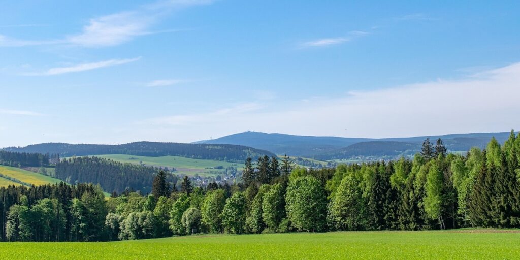 Sachsen, Erzgebirge, Wald, Landschaft
