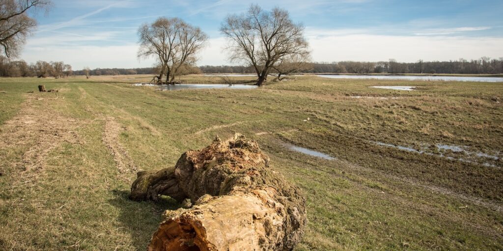 Fluss, Hochwasser, Überschwemmungsgebiet, Elbe, Deutschland