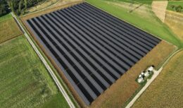 Trotz des Dürresommers haben sich laut EWS im Sonnenfeld in Pischelsdorf Soja und Biodiversitätsstreifen hervorragend entwickelt.