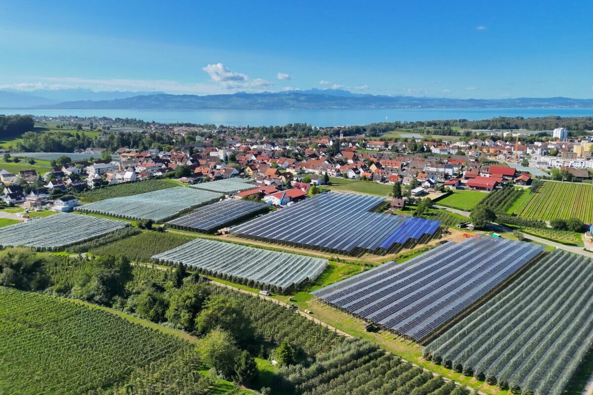 : Europas größte Agri-PV Anlage über Äpfeln in Kressbronn am Bodensee, aufgenommen aus der Luft. Links die Pilotanlage mit Gridparity-Modulen, rechts die 2,4 MWp Erweiterung von SONNTAG Energy und Maschinenring Tettnang