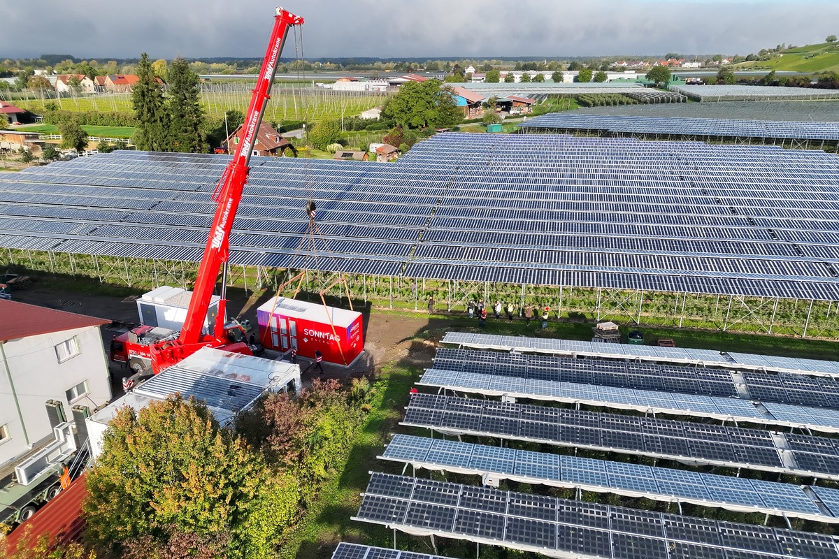 Sonntag Energy nimmt in Apfelplantage Photovoltaik-Anlage mit 2,4-Megawatt Leistung in Betrieb