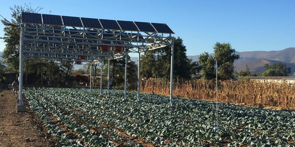 Agro-Photovoltaik in Chile