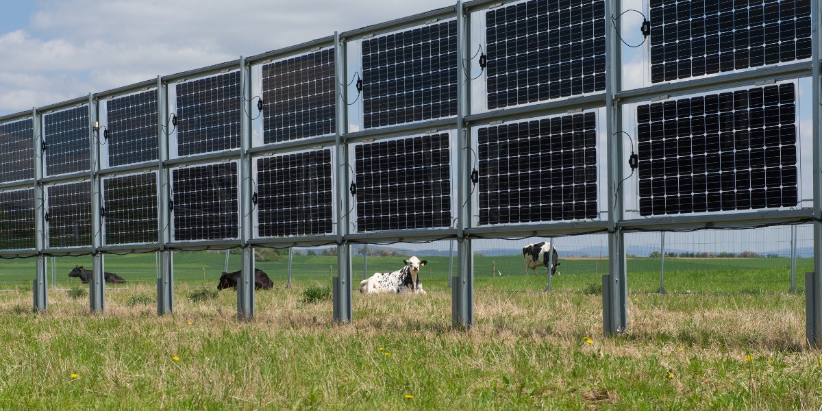 Next2Sun baut bifaziale Photovoltaik-Anlage mit zwei Megawatt – pv