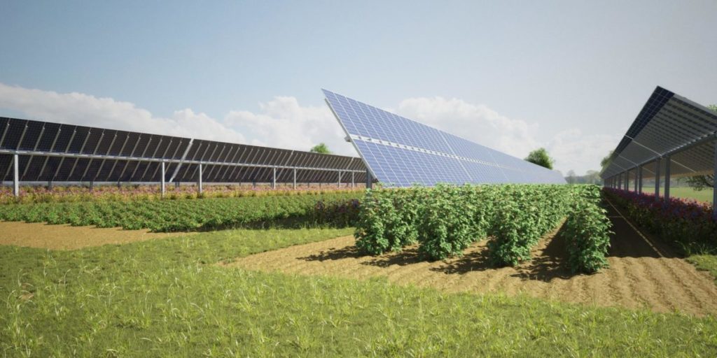 Agri-Photovoltaik-Anlage, Elysium Solar