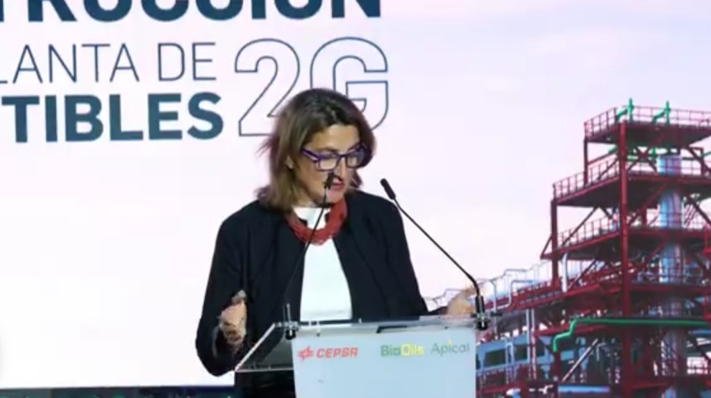 Teresa Ribera, Spaniens Umwelt- und Energieministerin
