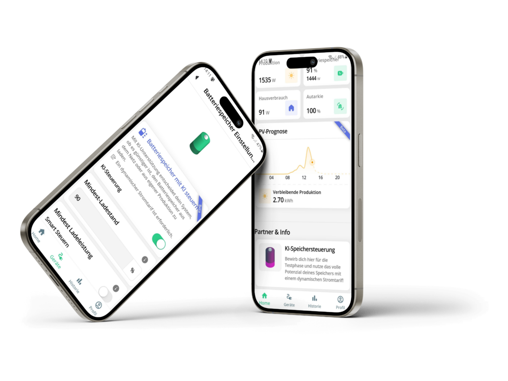 Clever-PV, Energiemanagement, KI-Algorithmus, Batteriespeicher