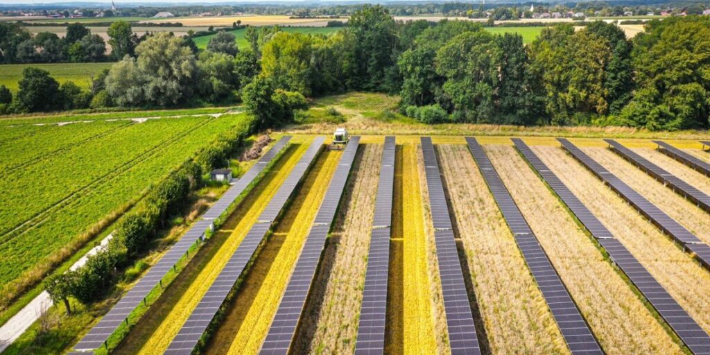 Drohnenaufnahme einer Agri Photovoltaik-Trackeranlage in Bad Sassendorf von Grid Parity