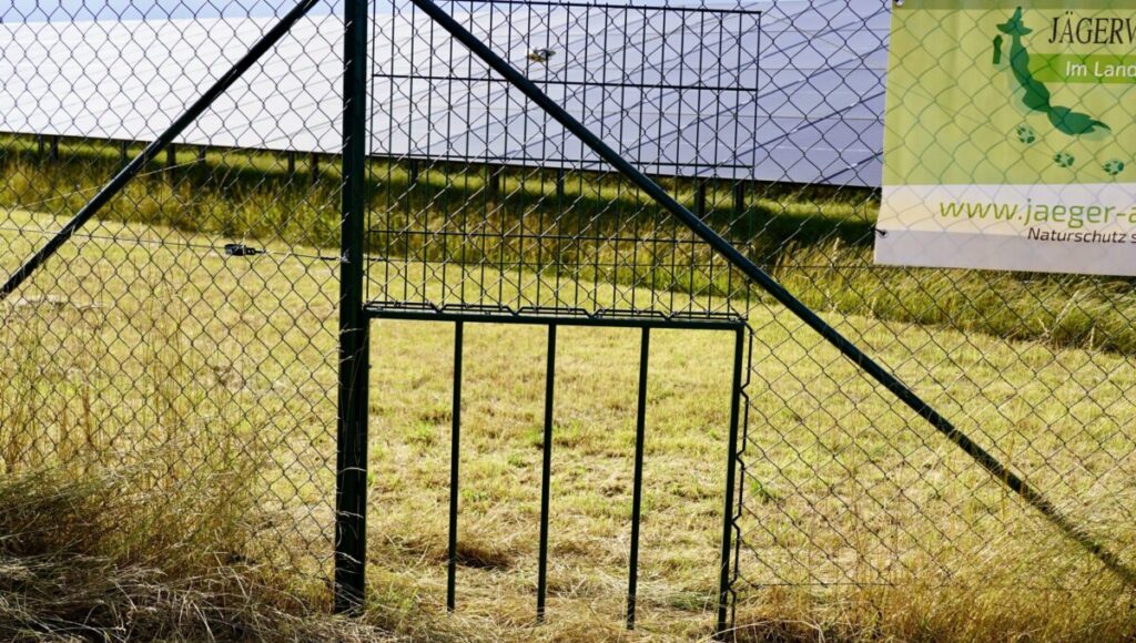 Einer der Rehdurchschlupfe an der PV-Anlage.