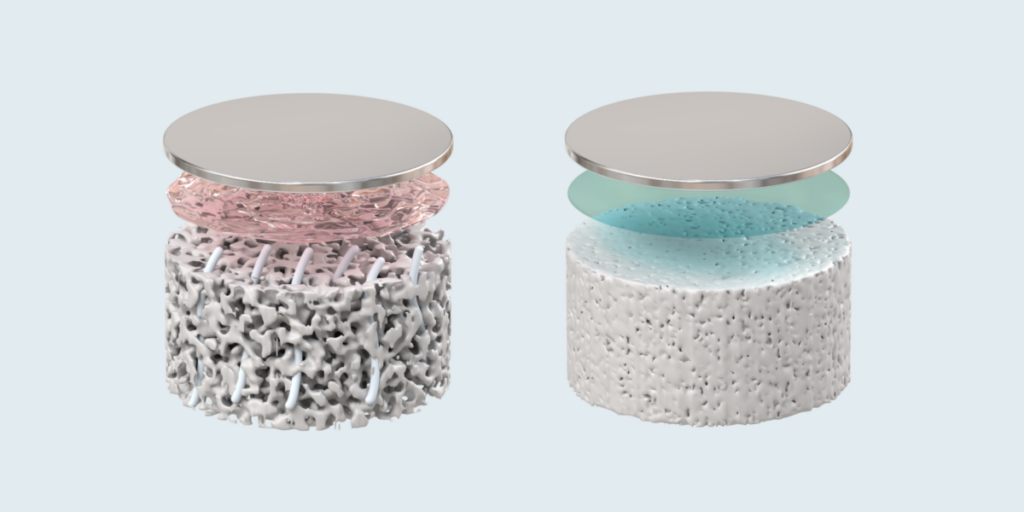 Links: Poröser Festelektrolyt, durch den Dendriten (grau) bis zur Lithiumoberfläche (silbern) vordringen; geschützt nur durch eine Grenzschicht (rosa). Rechts: Dicht gesinterter Elektrolyt mit LiF-Beschichtung (blau), die Dendriten stoppt.