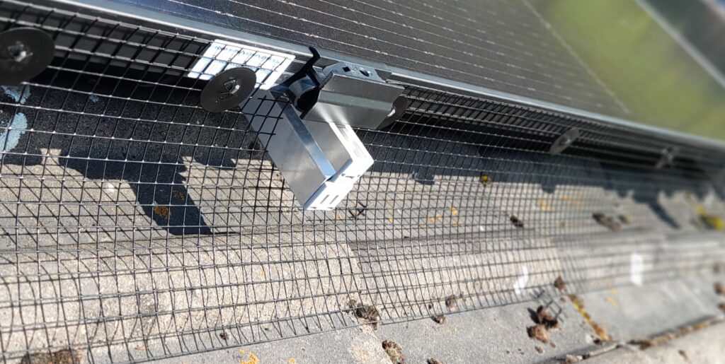 Sassmann, Taubenabwehr