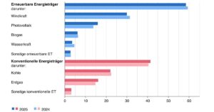Destatis, Statistisches Bundesamt, Stromerzeugung 2025/2024, Anteile in Prozent