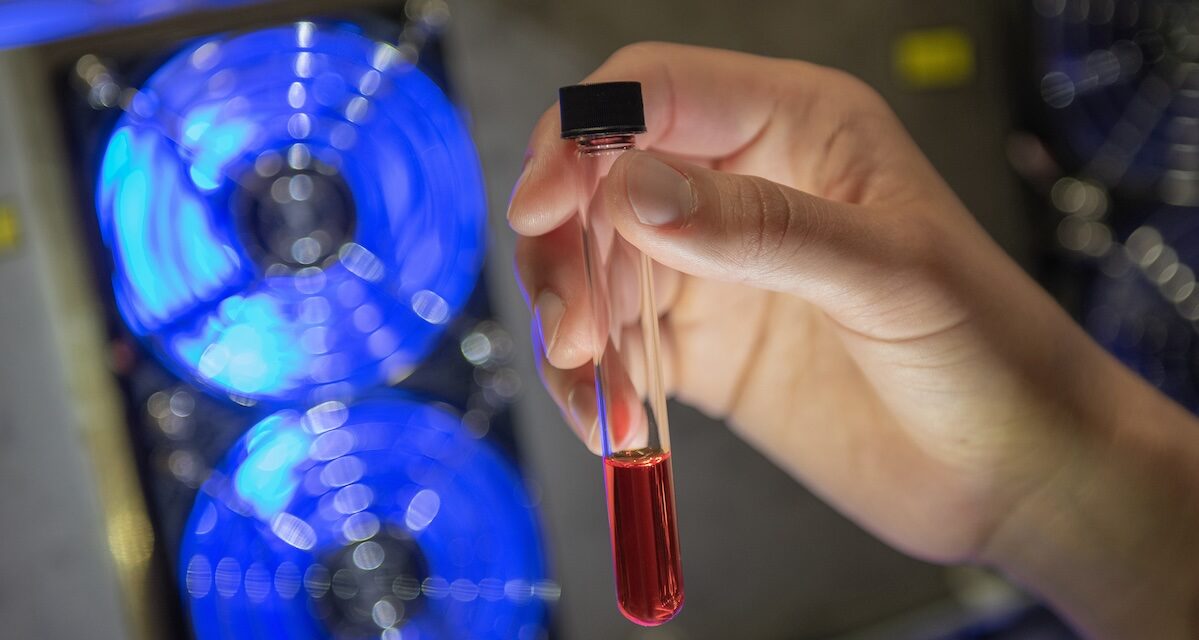 „Solarbatterie“, Universität Ulm, Grüner Wasserstoff, Probenröhrchen mit aktiver Substanz, Forschung, Energiespeicher, Copolymer