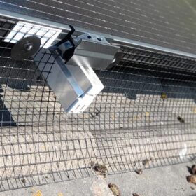 Sassmann, Taubenabwehr